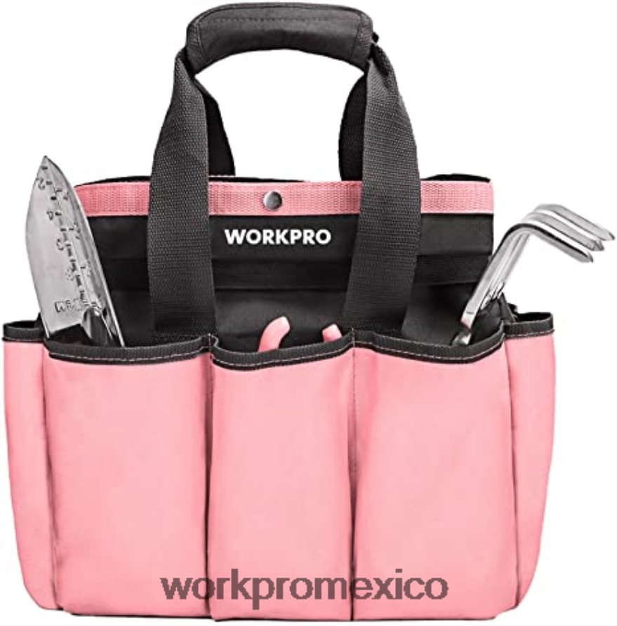 WORKPRO Bolsa de herramientas de jardín, bolsa de almacenamiento de jardín con 8 bolsillos, organizador del hogar para jardinería interior y exterior rosa/verde almacenamiento V82RH2256 WORKPRO Bolsa de herramientas de jardín, bolsa de almacenamiento de jardín con 8 bolsillos, organizador del hogar para jardinería interior y exterior rosa/verde almacenamiento V82RH2256